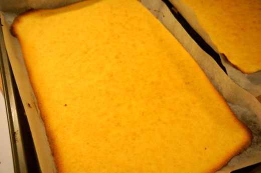 c0201334_8264246.jpg