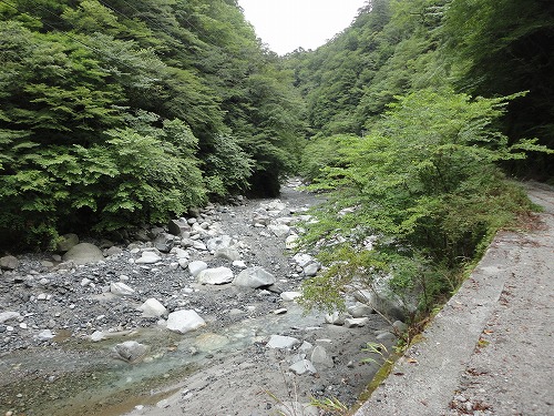 a0048040_1937232.jpg