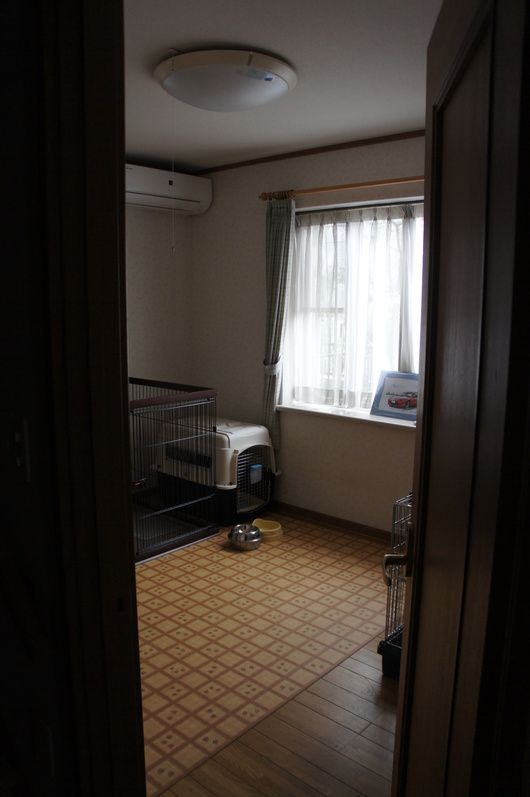 f0128542_8245015.jpg