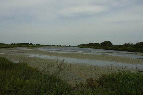 f0045846_19473397.jpg