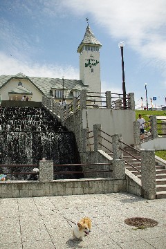 f0045846_19525965.jpg