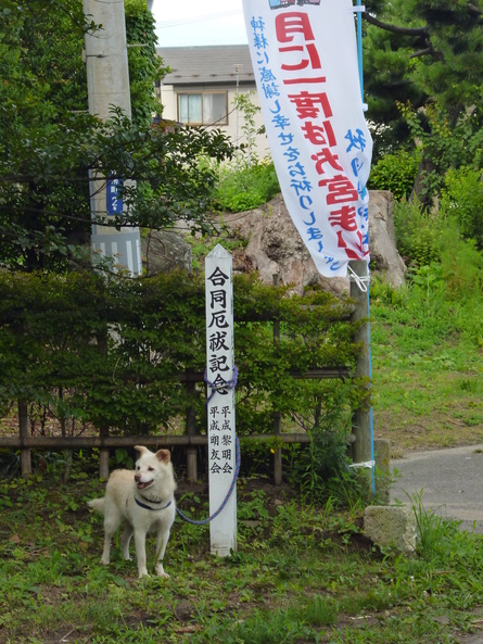 b0238249_2023940.jpg