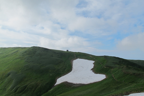 c0116856_2185369.jpg