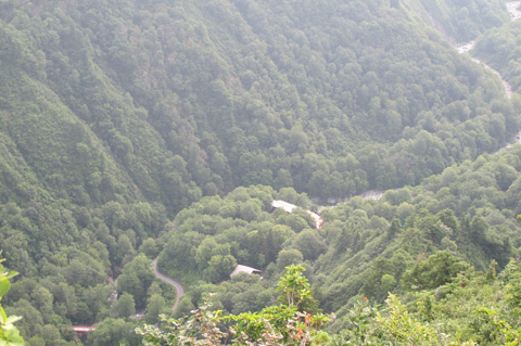 c0116856_2231056.jpg