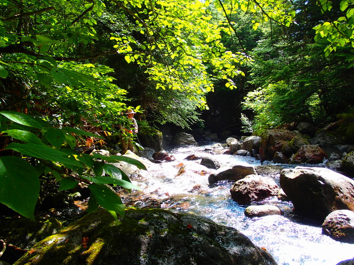 c0197578_00537.jpg