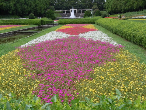 県立相模原公園_a0262487_22323773.jpg