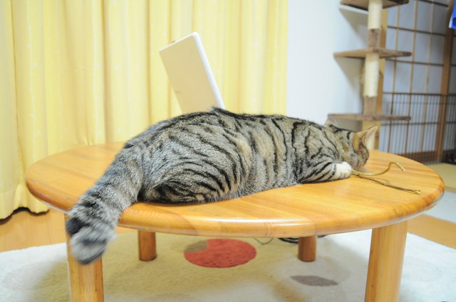 可愛いアナタ_a0126590_2353635.jpg