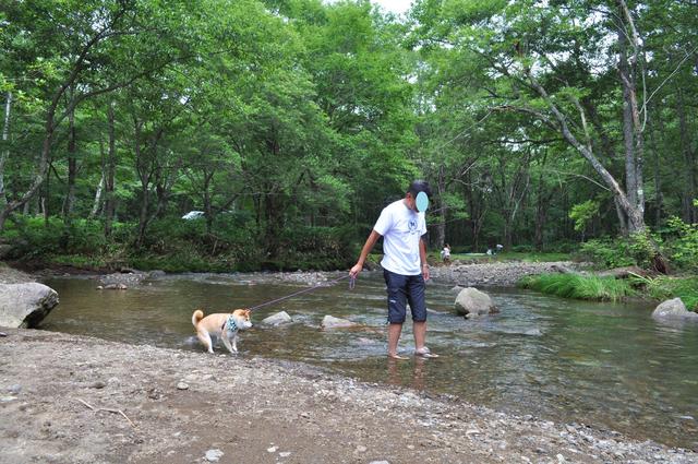 戸隠キャンプ2012 4日目_a0126590_613758.jpg