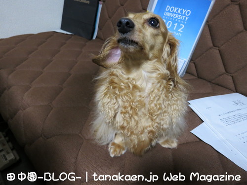 ご来店。迷惑かけてありがとう。_b0200291_21504954.jpg