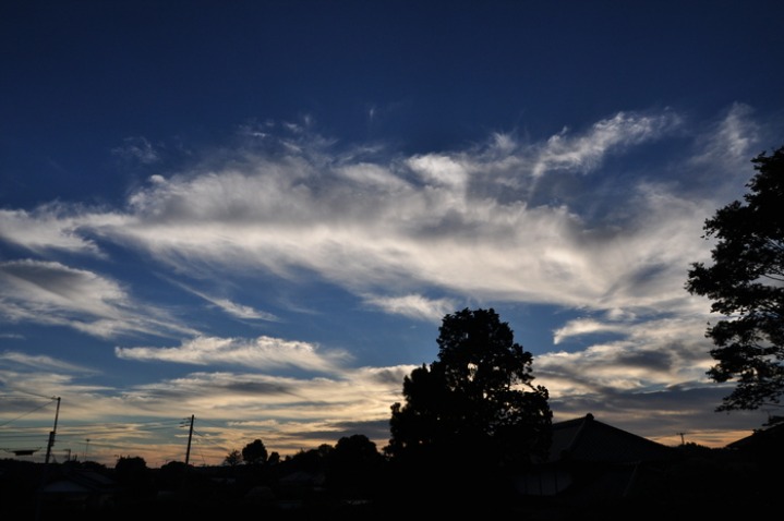 d0021491_18462661.jpg