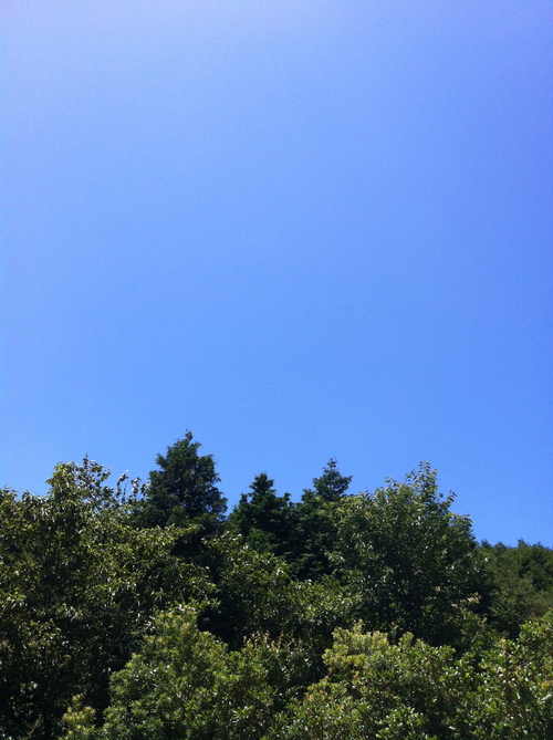 f0236691_1053540.jpg