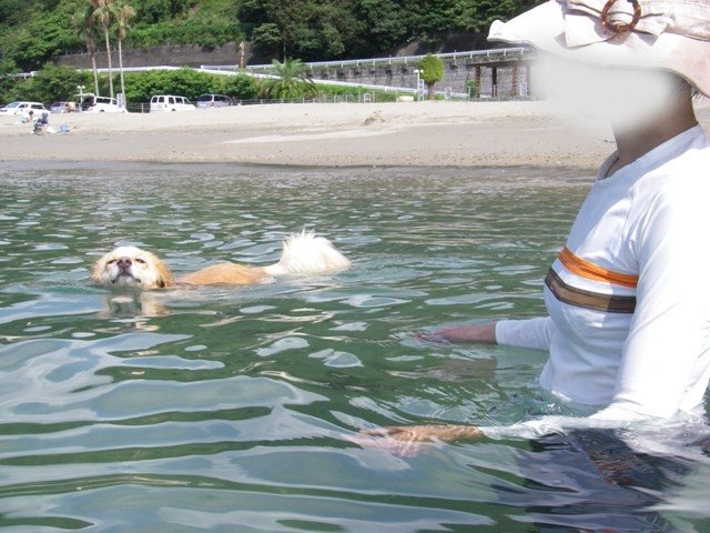 お盆休み。徳島県でキャンプ♪　　とりあえずビーチへ_c0196992_1556311.jpg