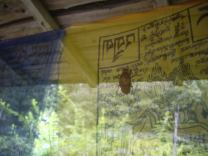 e0185092_171750.jpg