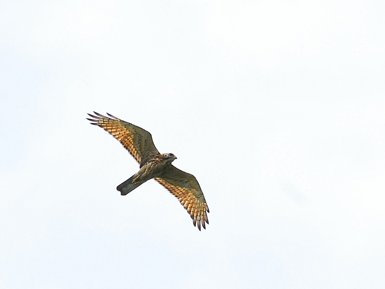 a0223993_11912100.jpg