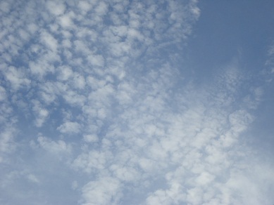 e0141203_17145348.jpg