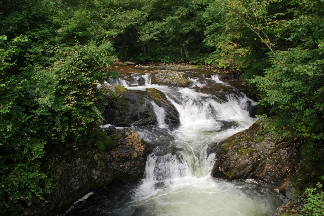 d0051707_22465582.jpg