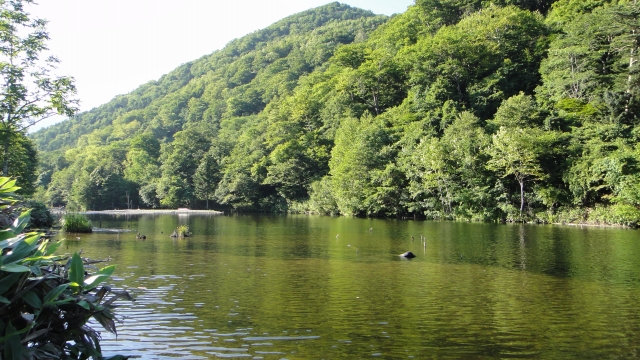 d0051707_22492299.jpg