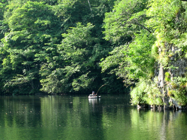 d0051707_2384521.jpg
