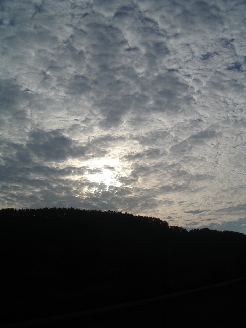 e0243008_8134783.jpg