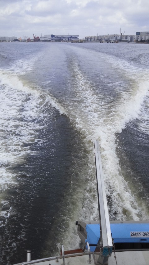 f0155808_8291321.jpg