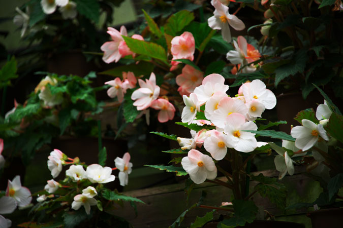 a0263109_14481813.jpg