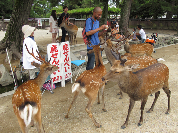 奈良日帰り旅_c0177109_13581327.jpg