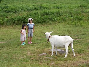 8月13日　大山旅行_e0064313_14293668.jpg