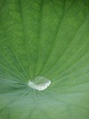 季節の中で(・・・近日ご案内・・・)_a0254818_17502417.jpg