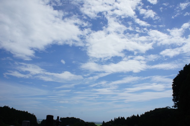 f0143119_2391181.jpg