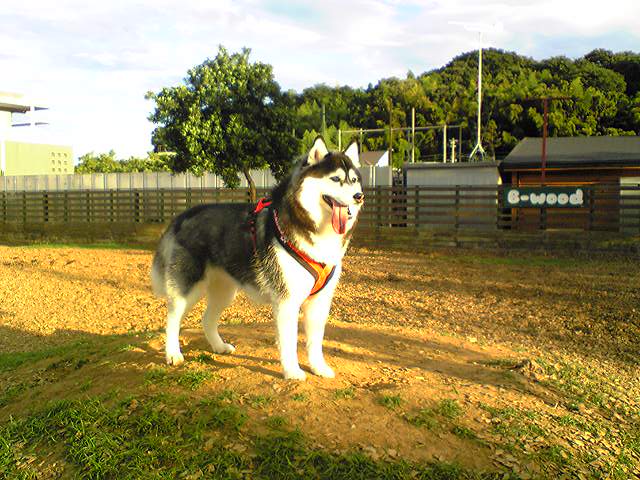 a0226620_13422080.jpg