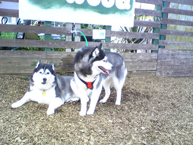 a0226620_13433396.jpg