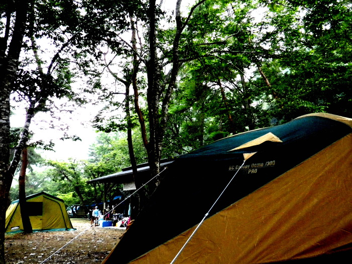 d0257922_11421731.jpg