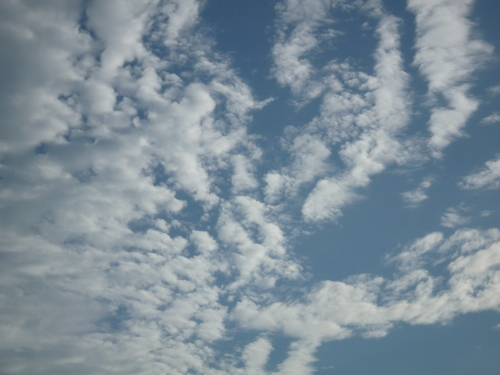b0156324_10315215.jpg