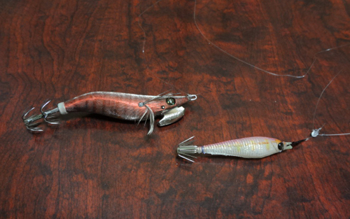 舞子の剣先イカ Fishing Riding