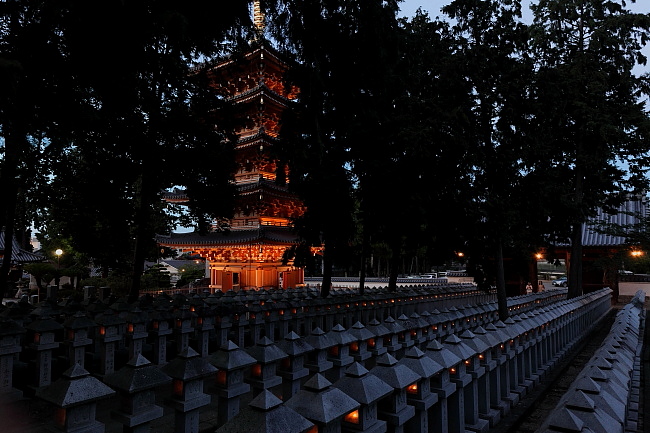 仏生山法然寺　万灯会　2012_a0165631_2313489.jpg