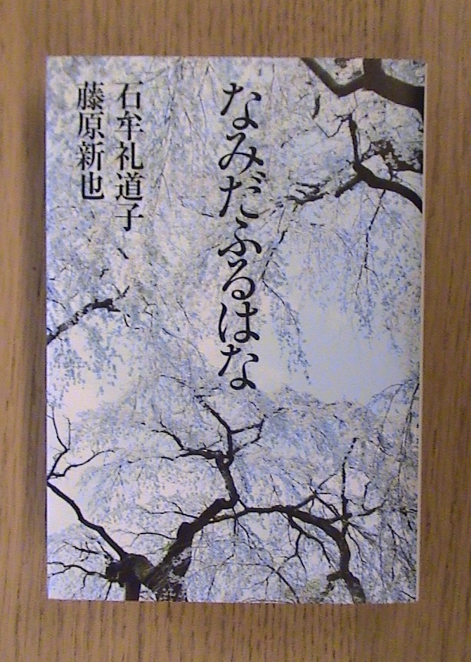 石牟礼道子　藤原新也『なみだふるはな』_b0138838_221383.jpg