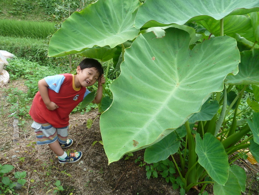 自然の中で夏休み_b0247739_5501332.jpg