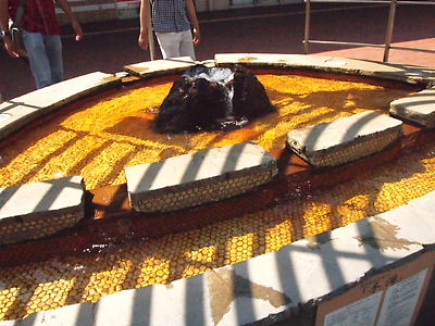 e0022839_14531.jpg