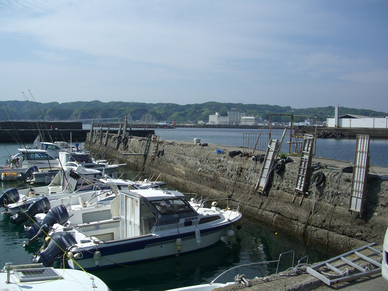 ウマい海鮮料理を. . . ._e0173239_1338669.jpg