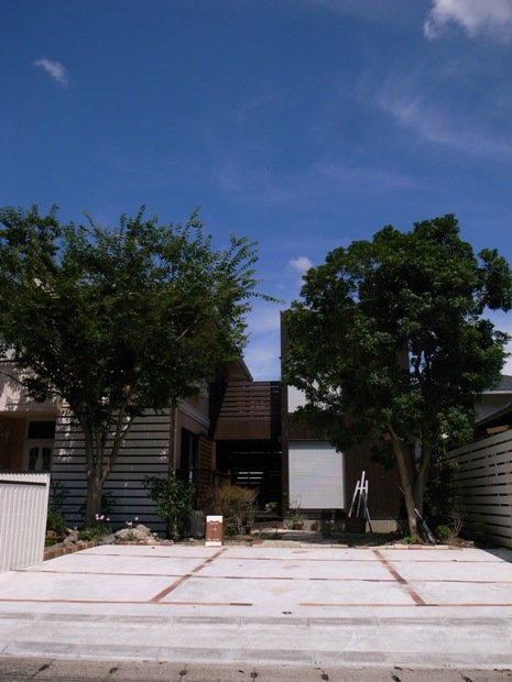 f0176239_17542027.jpg