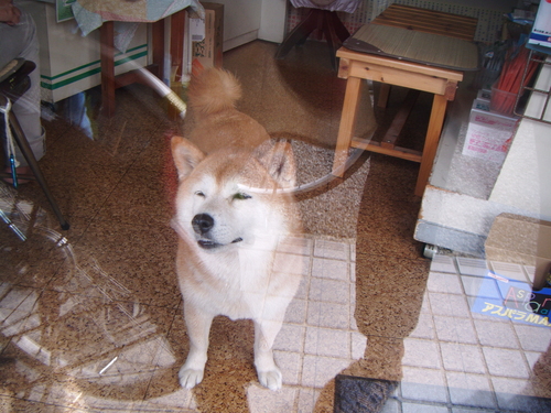 a0213742_9131631.jpg