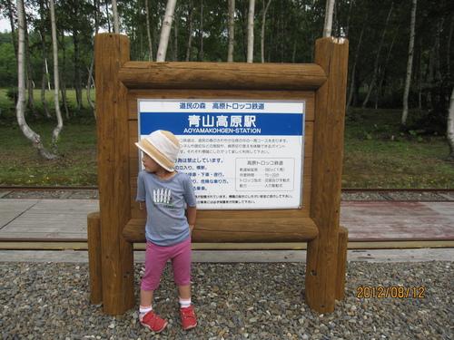 道民の森へ_f0231042_14275872.jpg