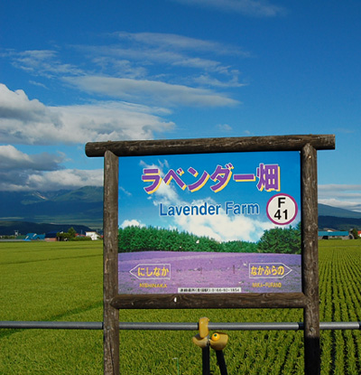 夏旅2012～富良野～ _a0043747_18541919.jpg