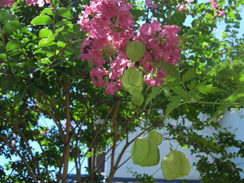 e0034047_12435793.jpg