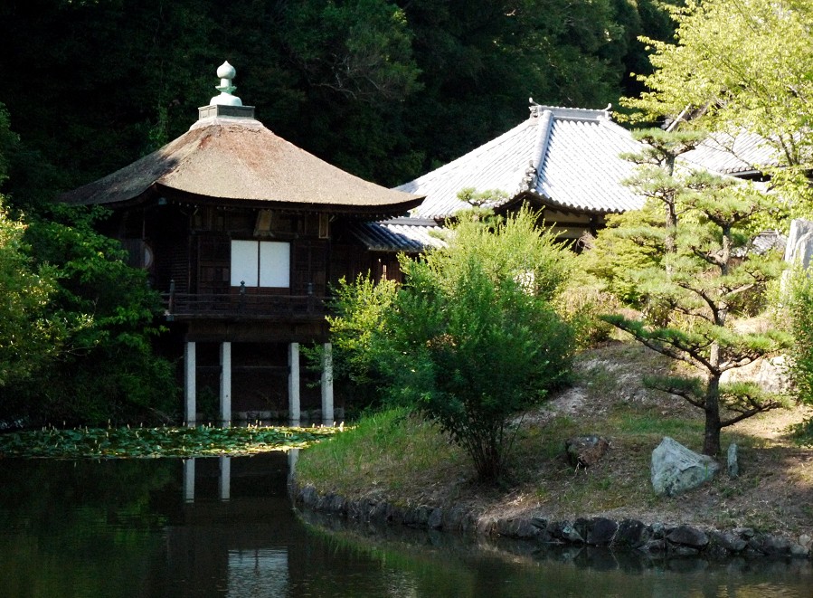 　　根来寺_b0093754_2256425.jpg