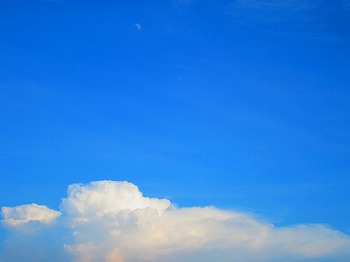 c0133361_141429.jpg