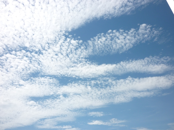送り火です_b0268364_1445928.jpg