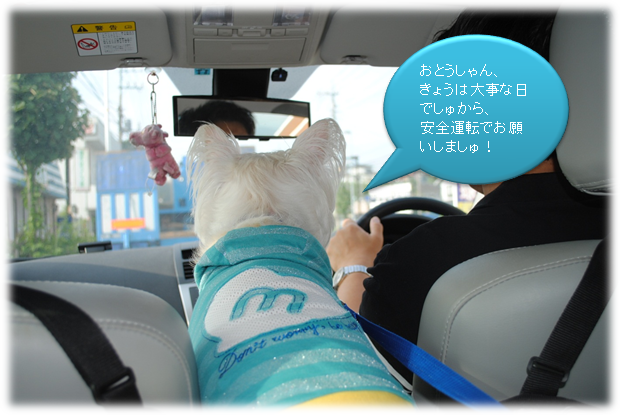 b0242873_154732.png