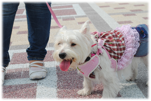 b0242873_16852.png