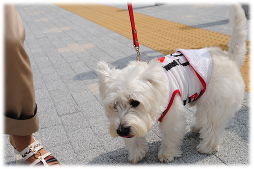 b0242873_16922.png